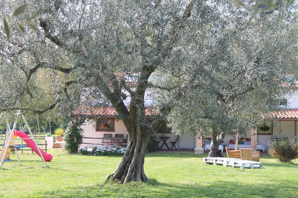 Gasthaus Borgo S.Maria Di Vulci Montalto di Castro Exterior foto