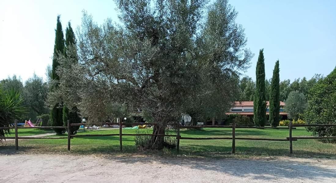 Gasthaus Borgo S.Maria Di Vulci Montalto di Castro Exterior foto
